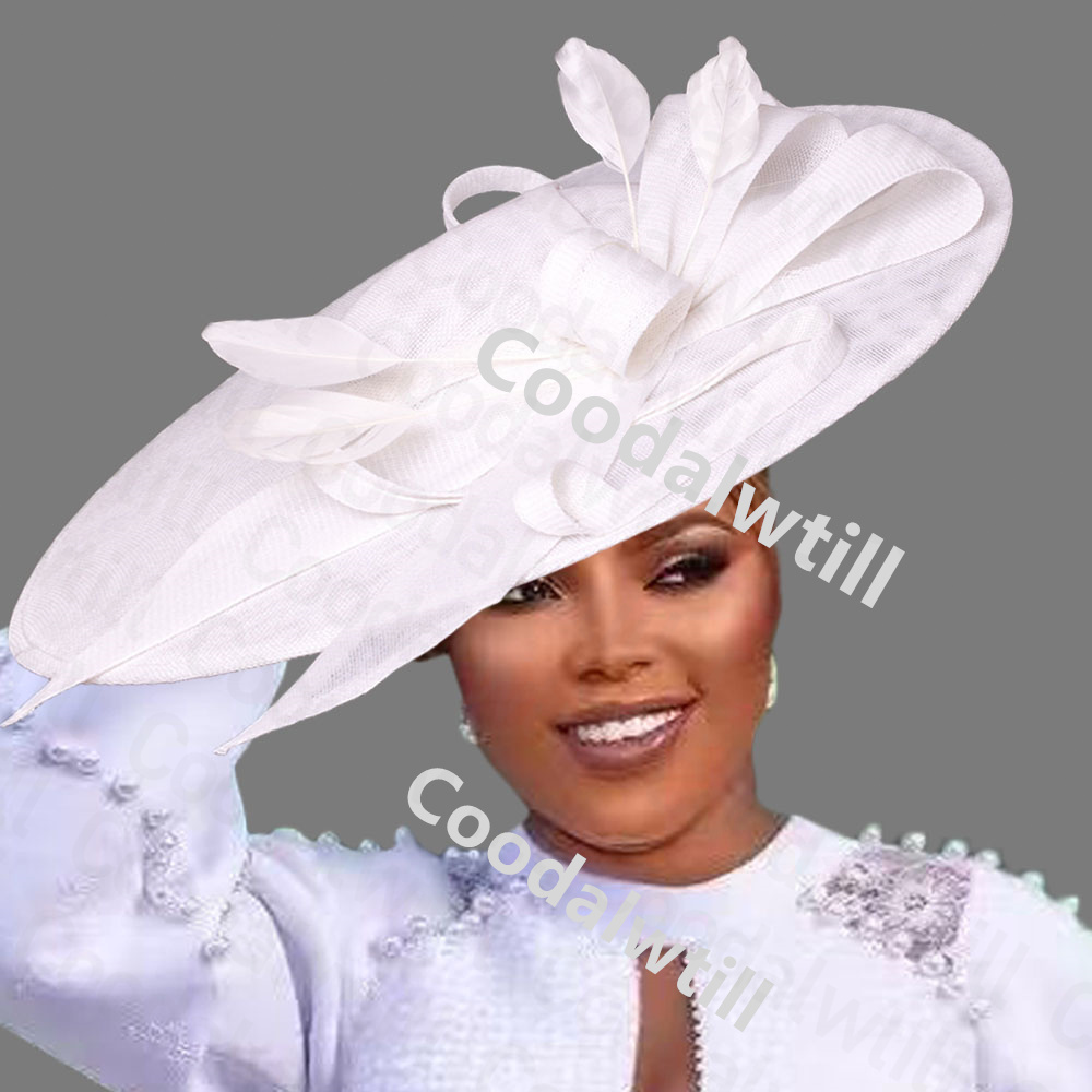 Kentucky Derby Big Fascinator  - Women'S Fashion Kentucky Derby recensie en prijs
