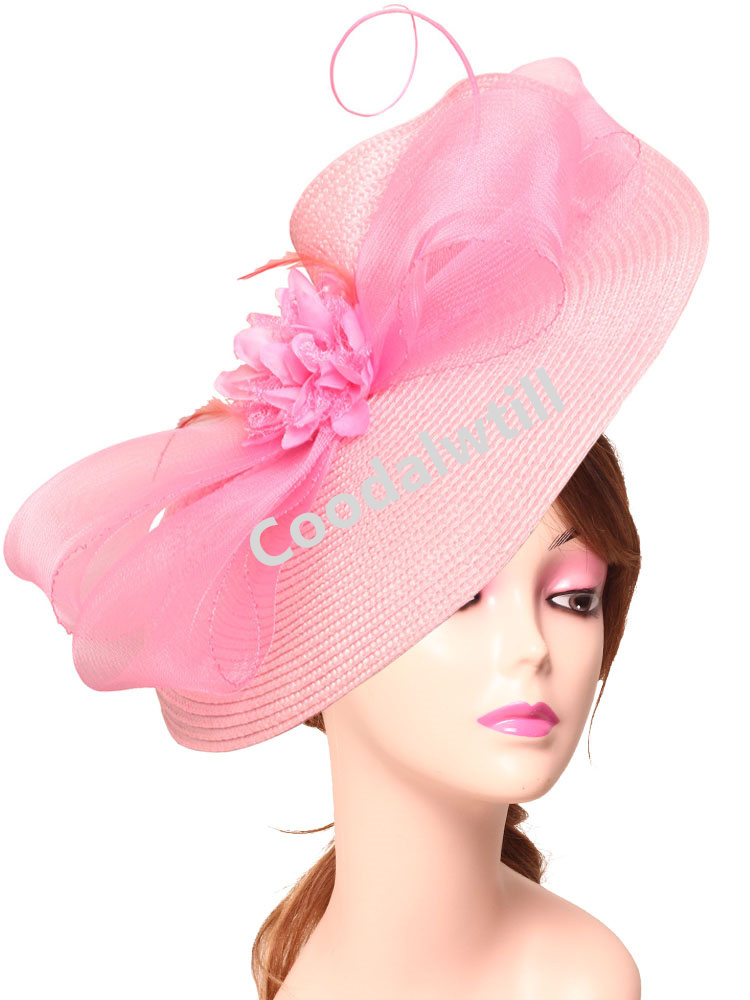 Elegant Tea Party Fascinator P - Women'S Fashion Kentucky Derby recensie en prijs