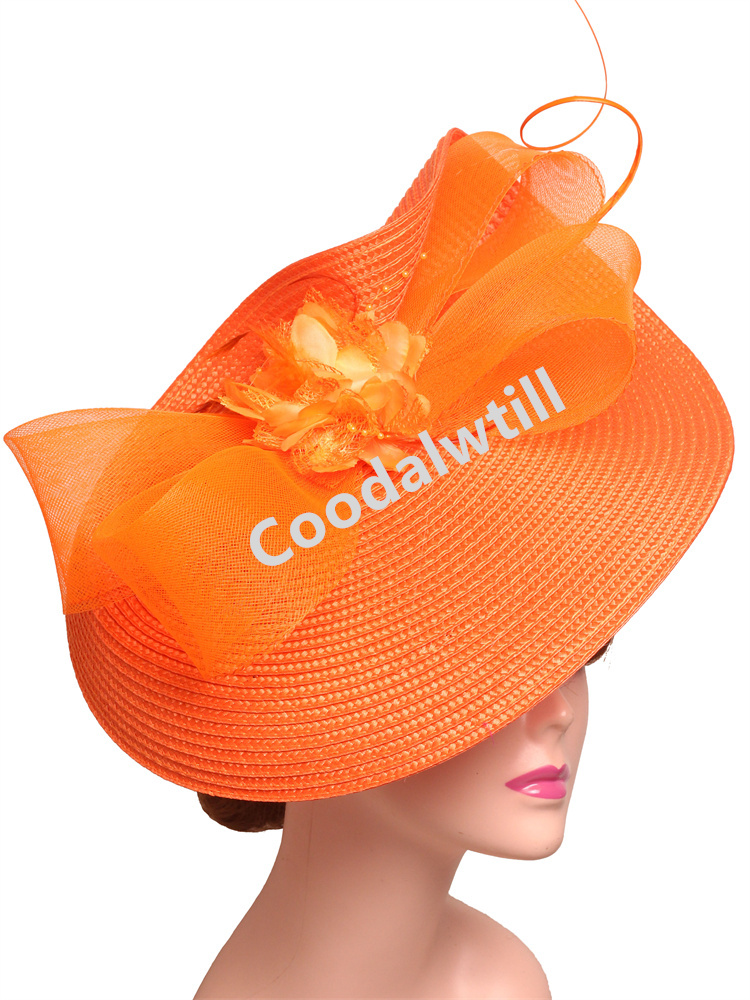 Elegant Tea Party Fascinator P - Women'S Fashion Kentucky Derby recensie en prijs