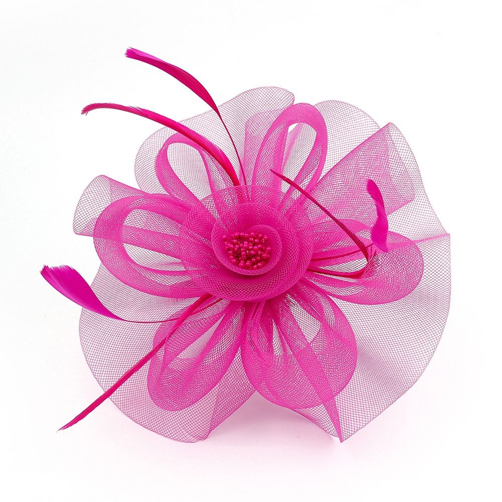 Feathers Ribbon Fascinator Hat - Women'S Fashion Kentucky Derby recensie en prijs