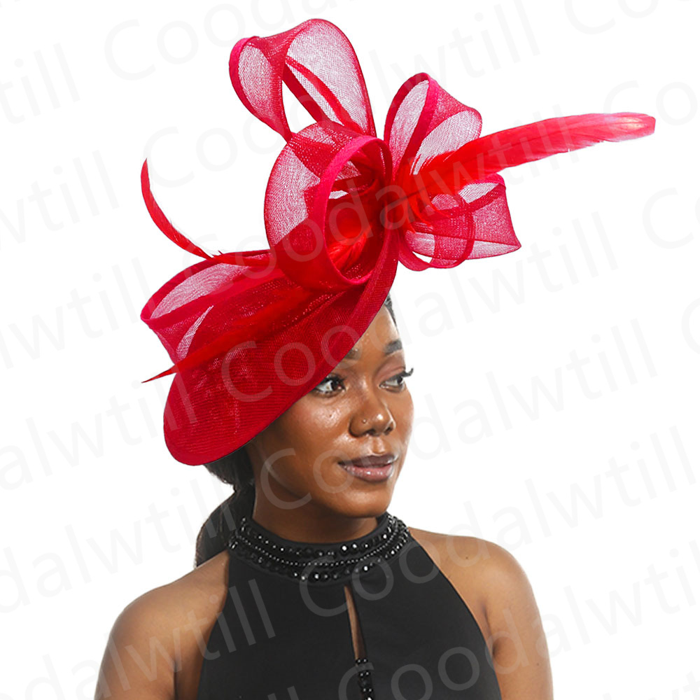 New Pillbox Fascinator Hat Wom - Women'S Fashion Kentucky Derby recensie en prijs