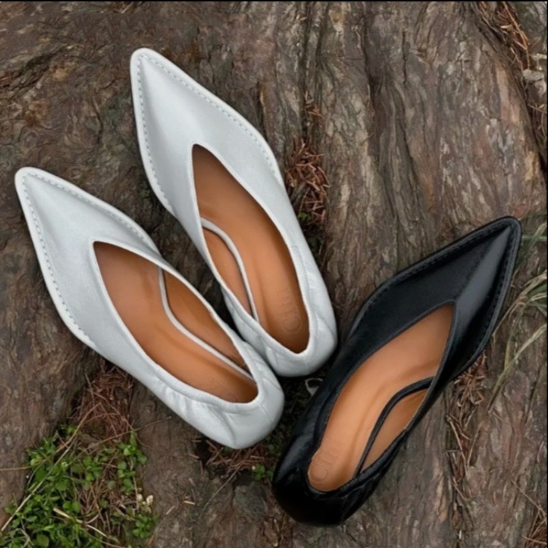 2025 New Pointed Toe Single Sh - Women'S Fashion For 2025 recensie en prijs