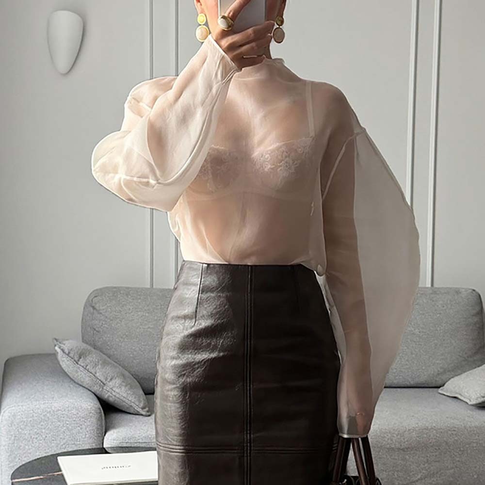 Chic Long Sleeve Mesh Blouse H - Wrap Blouse Chiffon recensie en prijs